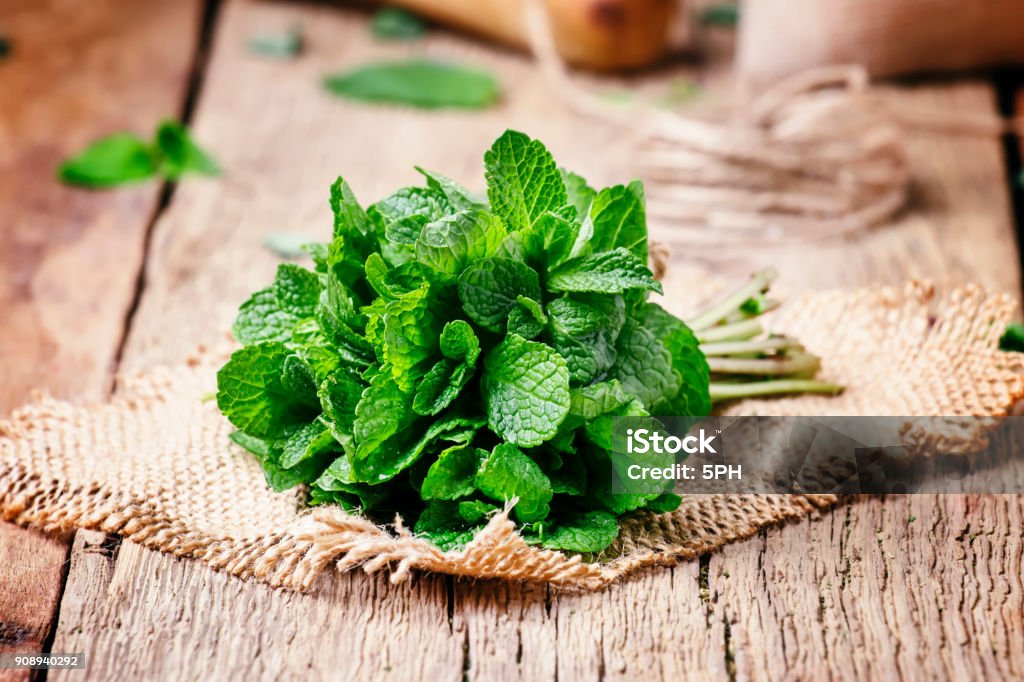 Fresh mint in a bundle Fresh mint in a bundle, vintage wooden background, selective focus Peppermint Stock Photo