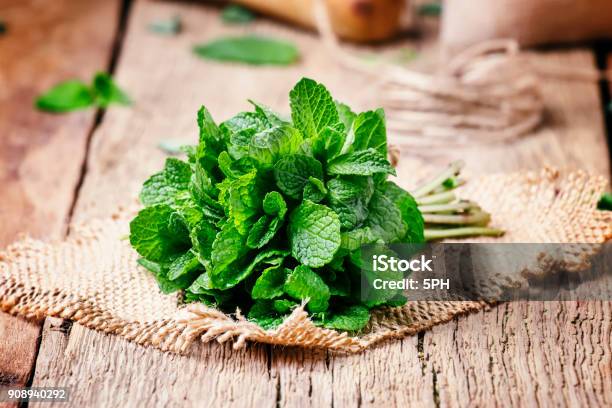 Fresh Mint In A Bundle Stock Photo - Download Image Now - Peppermint, Aromatherapy, Backgrounds