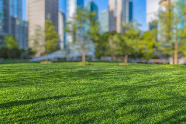 istock Buildings and green lawn 908945814