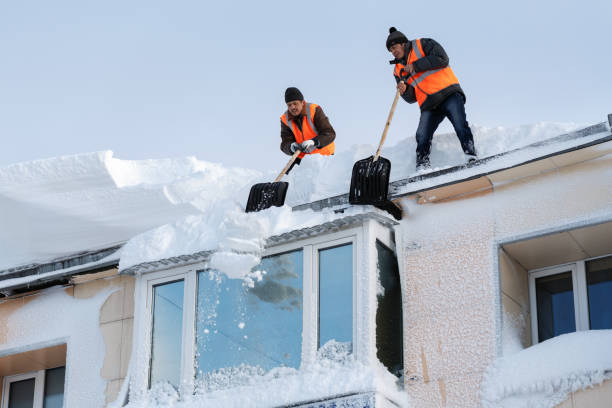 trabalhadores com pás de neve realizar inverno limpeza do telhado do edifício da neve e gelo após o ciclone de neve pesada (tempestade de neve, nevão) - snow removal - fotografias e filmes do acervo