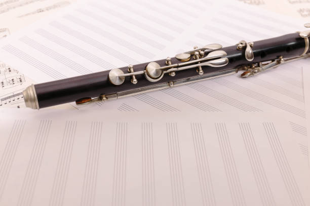 istock transverse flute on sheet music 908953646