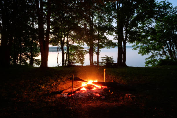 istock bonfire in forest on the lake shore 908957716