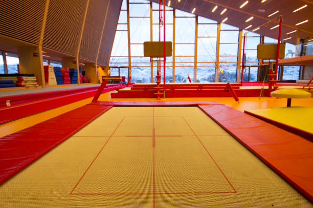 istock Gymnastic center in the north Atlantic 908960634