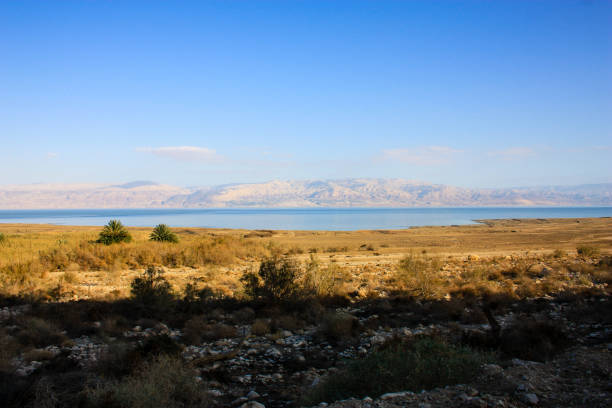 istock colors of Israels 908982368