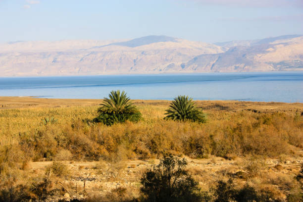 istock colors of Israels 908982390