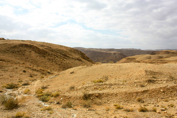 istock colors of Israel 908985122