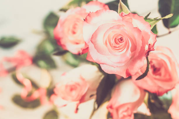 istock Bouquet of rose flowers 908986094