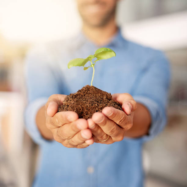 istock Nurturing his company and the planet 908989322