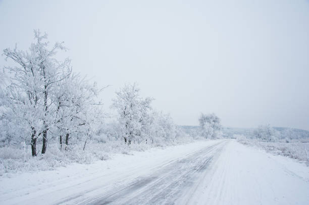 istock Dirt road in the forest in winter 908993870