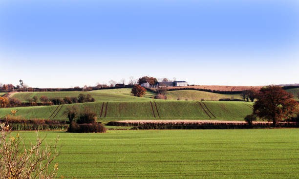 istock view from footpath through typical english rural scenery - trees land countryside rural landscape on a sunny day - hiking walking scenic lush 908995096