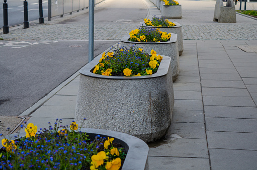 Flower pots in the streets of Warsaw, Poland.