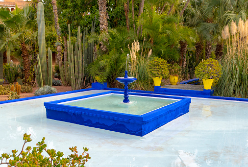 Botanical garden Jardin Majorelle in Marrakesh or Marrakech in Morocco