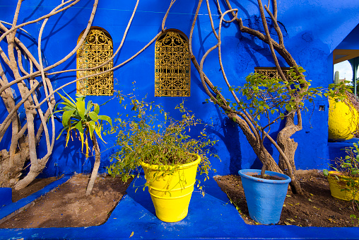 Botanical garden Jardin Majorelle in Marrakesh or Marrakech in Morocco