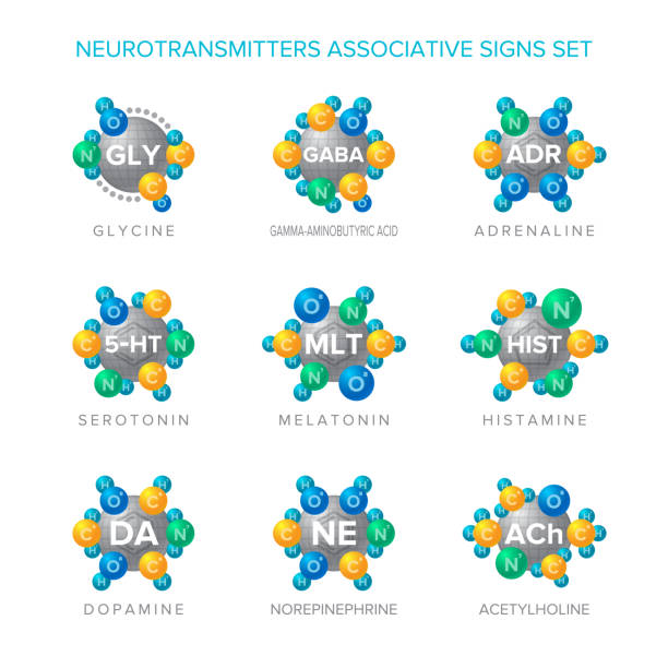 ilustraciones, imágenes clip art, dibujos animados e iconos de stock de neurotransmisores vector de muestras con el conjunto asociativo de estructuras moleculares - acetylcholine