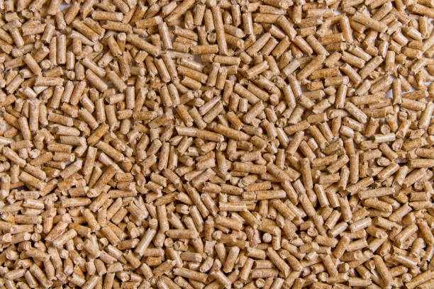 biocarburanti. biocarburante alternativo dalla segatura. sfondo pellet di legno. la lettiera per gatti. - granulo foto e immagini stock