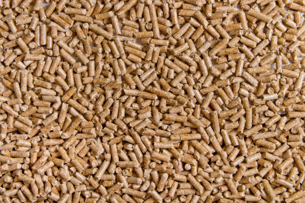 Biofuels. Alternative biofuel from sawdust. Wood pellets background. The cat litter. Biofuels. Alternative biofuel from sawdust. Wood pellets background. The cat litter. granule photos stock pictures, royalty-free photos & images