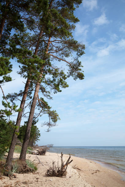 istock View to the sea. 909029490