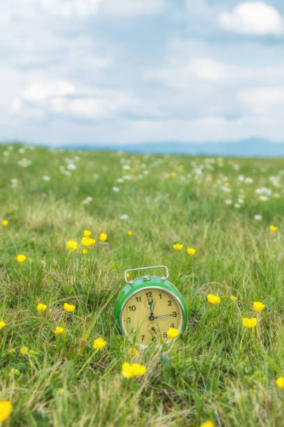 istock Old retro alarm clock sitting in a grass with flowers. 909029592