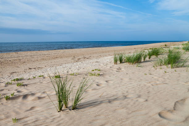 istock View to the sea coastline. 909030168