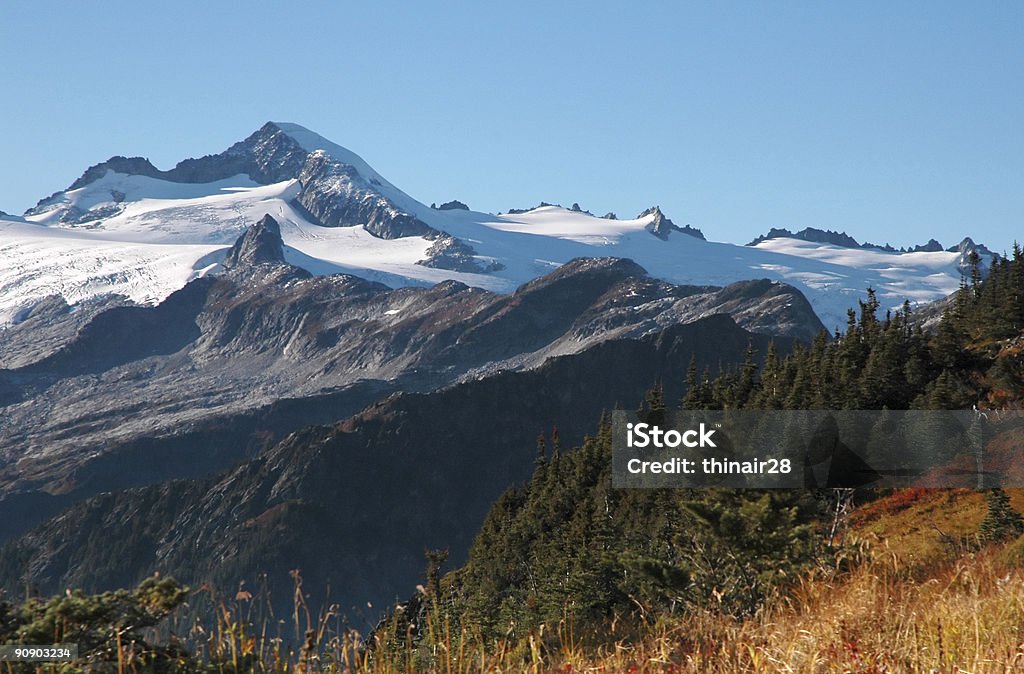 Automne paysage de montagne - Photo de Arbre libre de droits