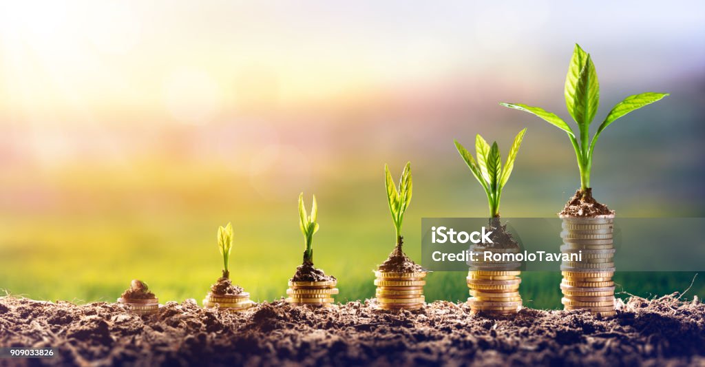 Growing Money - Chart In Rise - Finance Investment Concept Growing Plant On Money - Finance Investment Concept Currency Stock Photo