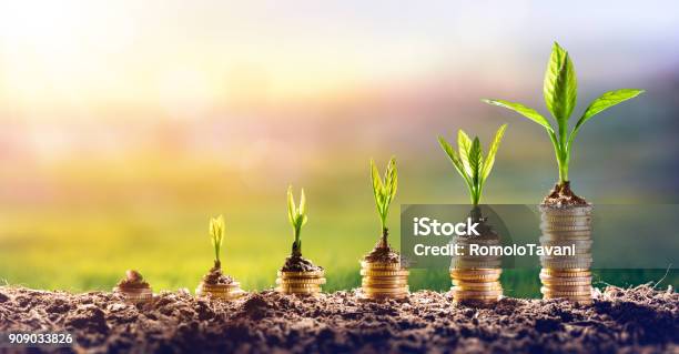 Growing Money Chart In Rise Finance Investment Concept Stock Photo - Download Image Now