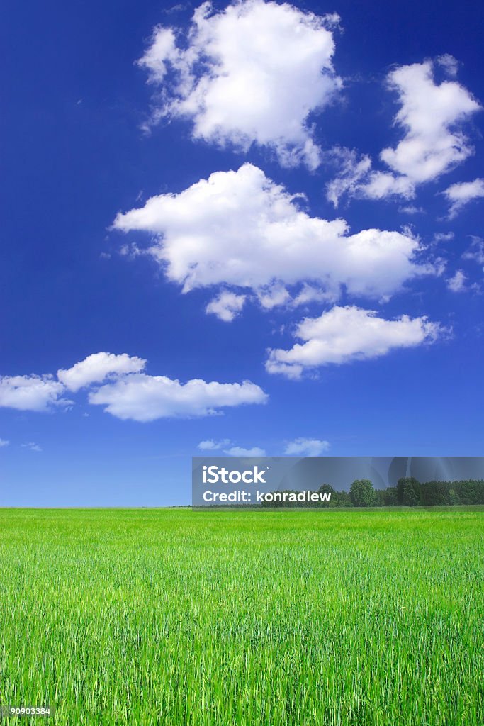 Grünen Feld-Landschaft - Lizenzfrei Abstrakt Stock-Foto