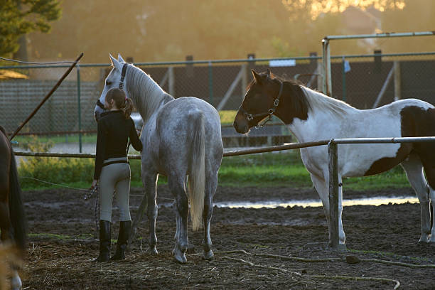 istock Young girl and two horses 90903492