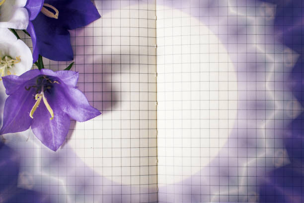 istock blank note book close-up with spring flowers and copy space on w 909037308