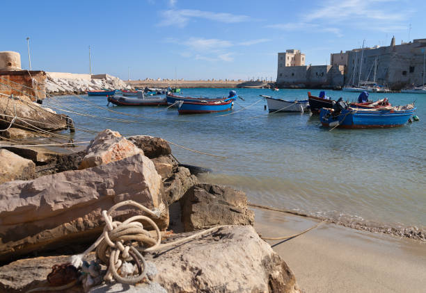istock Coastline of Giovinazzo. 909038000