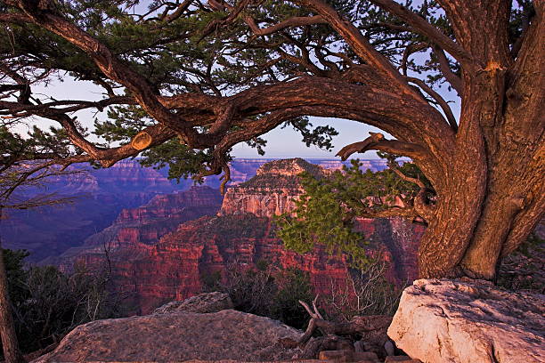 istock Grand Canyon at sunrise 90904070