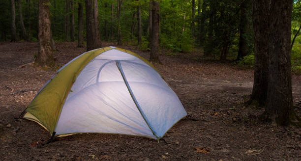 istock Tent in a dark forest just before sunset 909041200