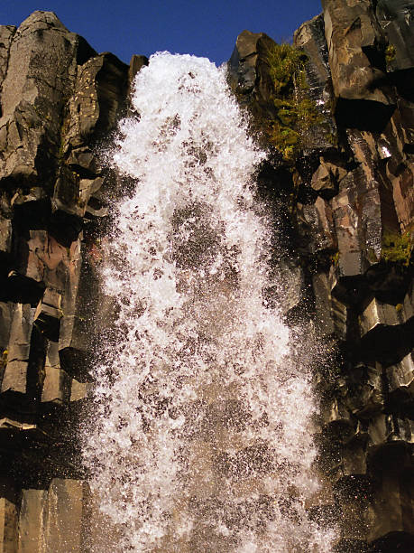 Svartifoss stock photo