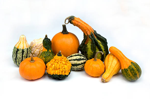 fall gourds and pumpkins stock photo