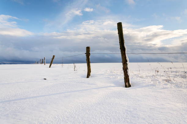 piquets de clôture en hiver neigeux pays dekeyzer, prévisions météo concept - winter wire barbed wire protection photos et images de collection