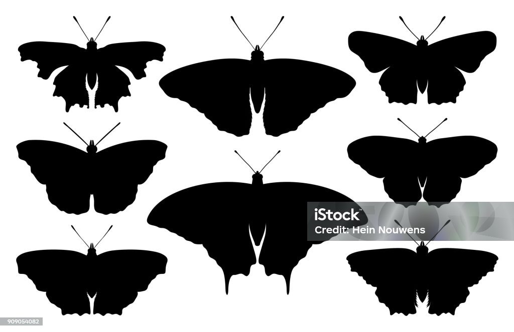 Schmetterling-silhouette - Lizenzfrei Admiral - Schmetterling Vektorgrafik