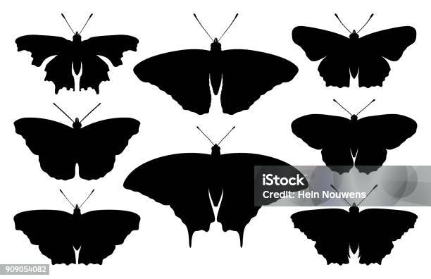 Schmetterlingsilhouette Stock Vektor Art und mehr Bilder von Admiral - Schmetterling - Admiral - Schmetterling, Biologie, C-Falter
