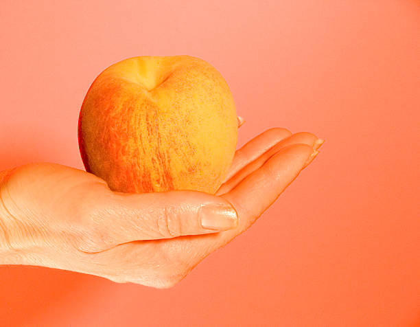 Peach in Hand stock photo