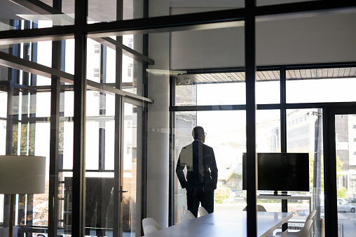 Rearview shot of a young businessman looking thoughtfully out of a window in a modern office