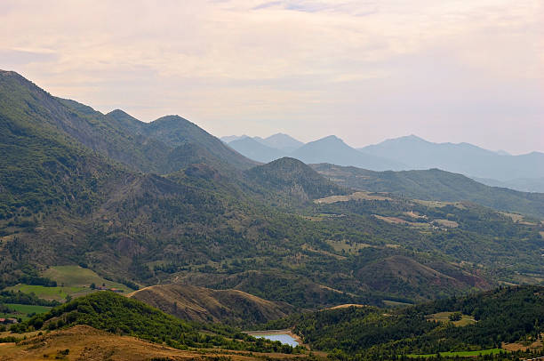 istock Wild France 90905703