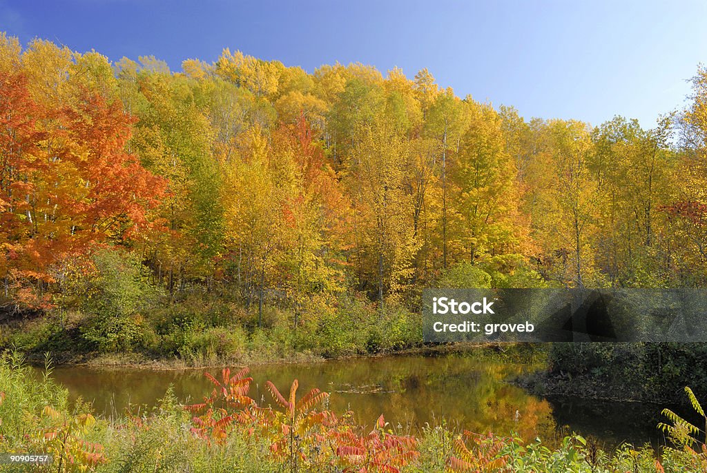 Intense autumn colors in Michigan's upper peninsula  Indiana Stock Photo