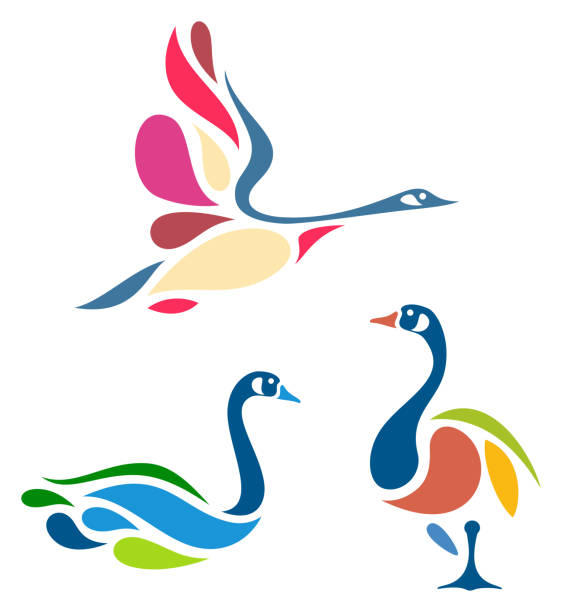 Stylized Birds Stylized Geese canada geese swimming stock illustrations