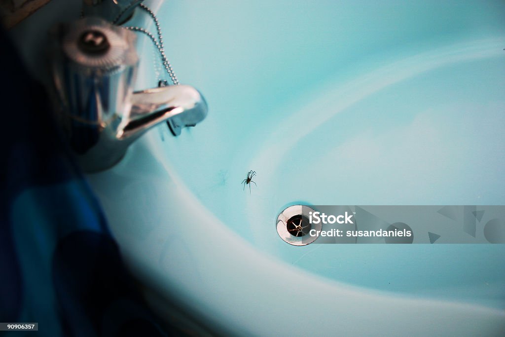 spider w wannie - Zbiór zdjęć royalty-free (Pająk)