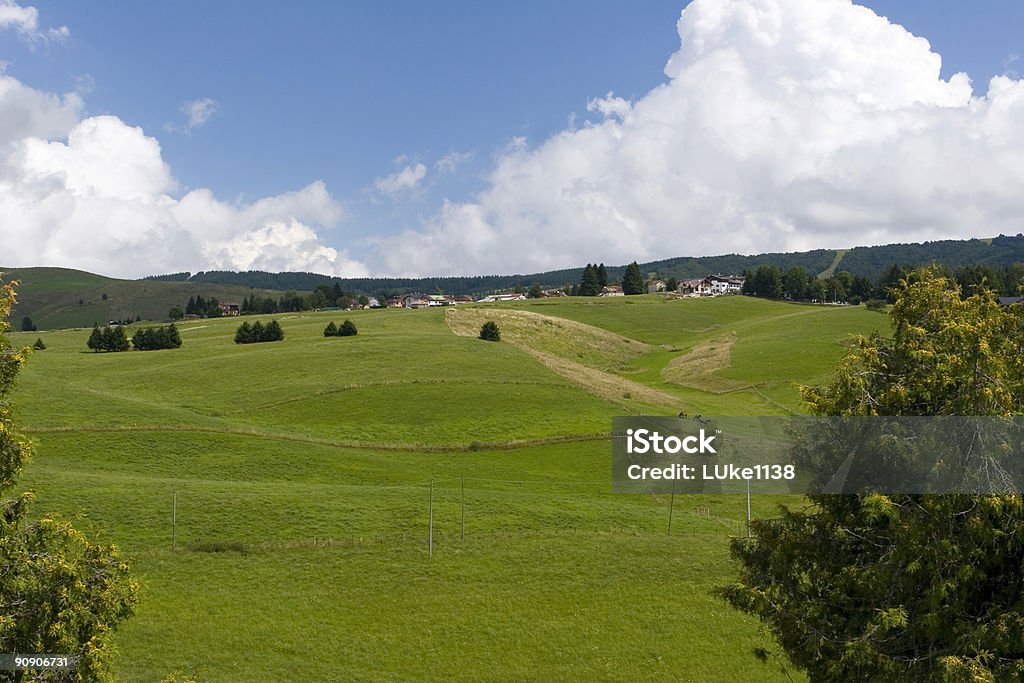 Asiago - Foto stock royalty-free di Albero