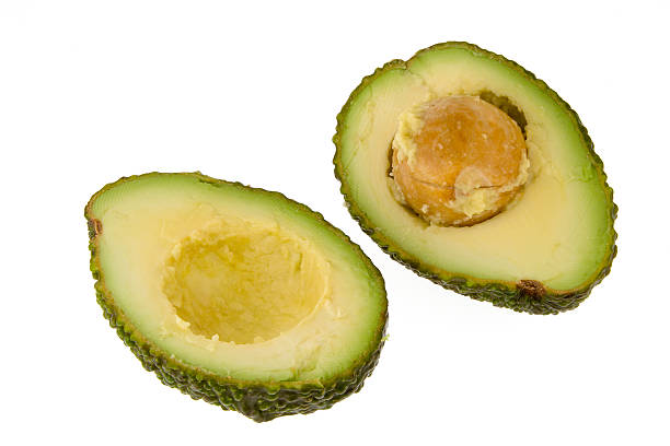 Avocado stock photo