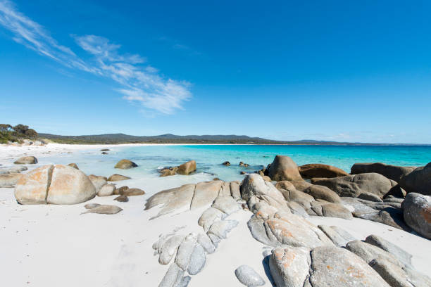 istock Bay of Fires, Tasmania, Australia 909070832
