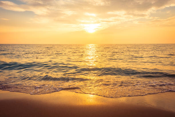 istock Beautiful sunset on the beach and sea 909070850