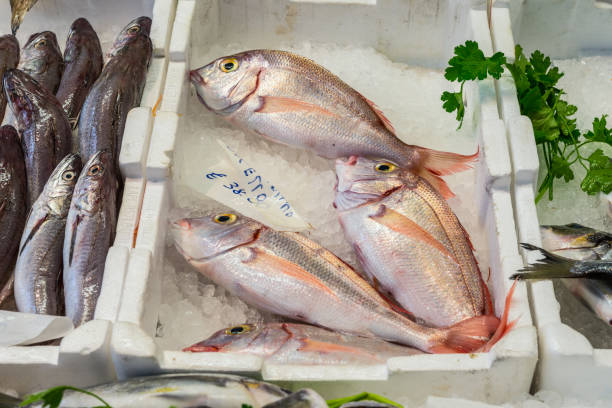 istock Fresh fish on the market 909070896