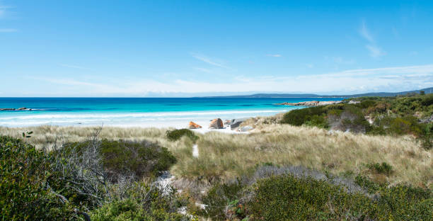 istock Bay of Fires, Tasmania, Australia 909075168
