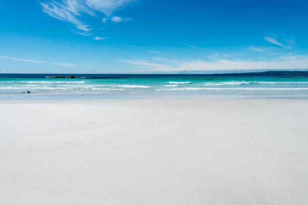 istock Bay of Fires beach, Tasmania, Australia 909076580